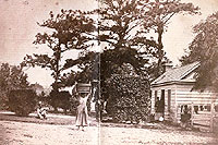 Negro Cabin, Hopkinson's Edisto Island, S. C.