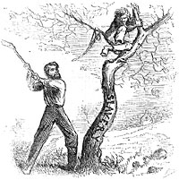 Lincoln's Last Warning