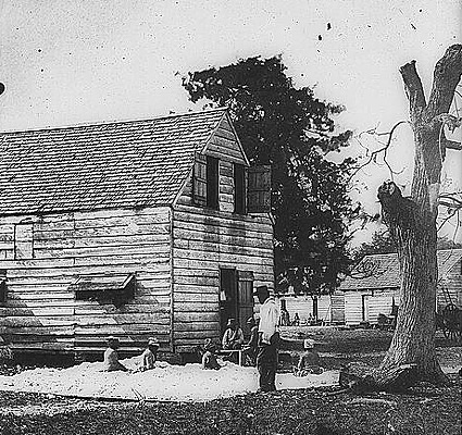Seven African-American slaves preparing cotton for a gin in South Carolina.