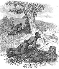 Black Troops, Scouts