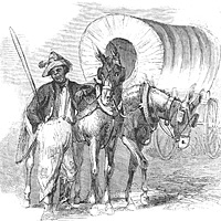 Black Troops, Teamsters