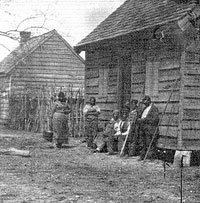 Rhett's Plantation